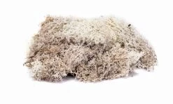 Hornby R7193 Lichen Stone Grey