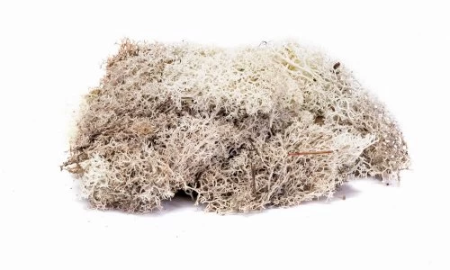 Hornby R7193 Lichen Stone Grey